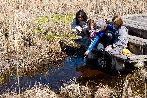 A group of fourth graders look for wildlife and plants in the water during a Wings and Water field trip at the Great Salt Lake Shorelands Preserve in Layton on Thursday, April 18, 2024. The Great Salt Lake Shorelands Preserve and USU Botanical Center offer the Wings and Water program for fourth graders to connect them with the lake and get a taste of the beauty, birds and other wildlife the 4,500 acres have to offer. | Megan Nielsen, Deseret News